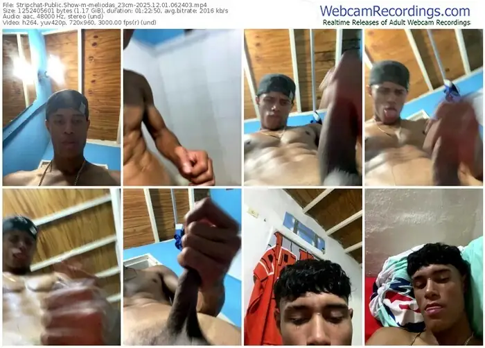 2025/12/01/stripchat-meliodas_23cm-06-24-03