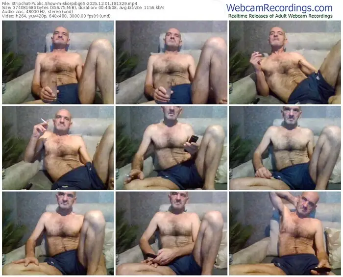 2025/12/01/stripchat-skorpibg65-18-13-29