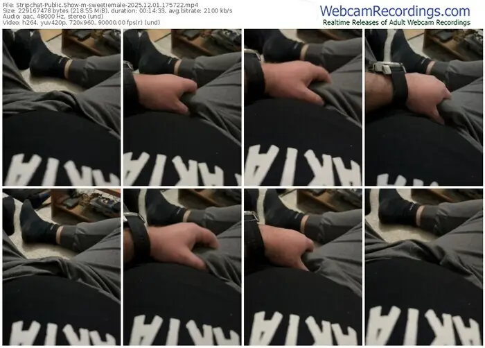 2025/12/01/stripchat-sweetiemale-17-57-22