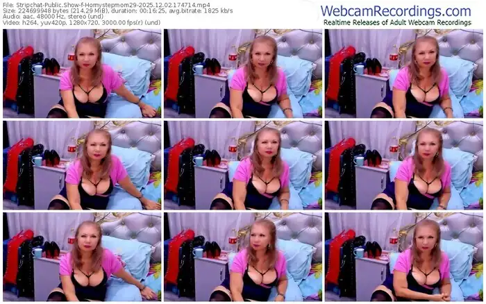 2025/12/02/stripchat-hornystepmom29-17-47-14