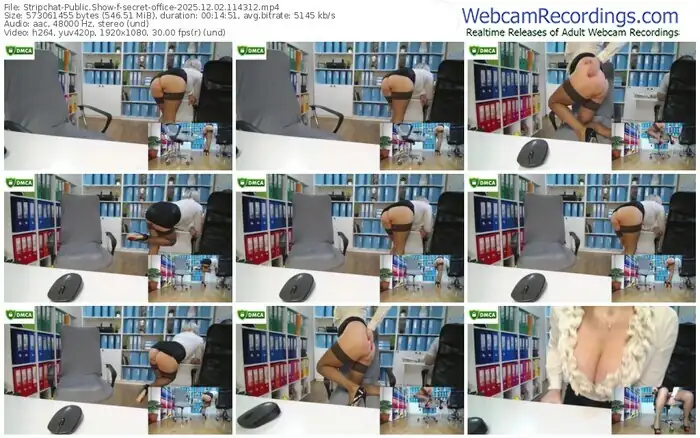 2025/12/02/stripchat-secret-office-11-43-12