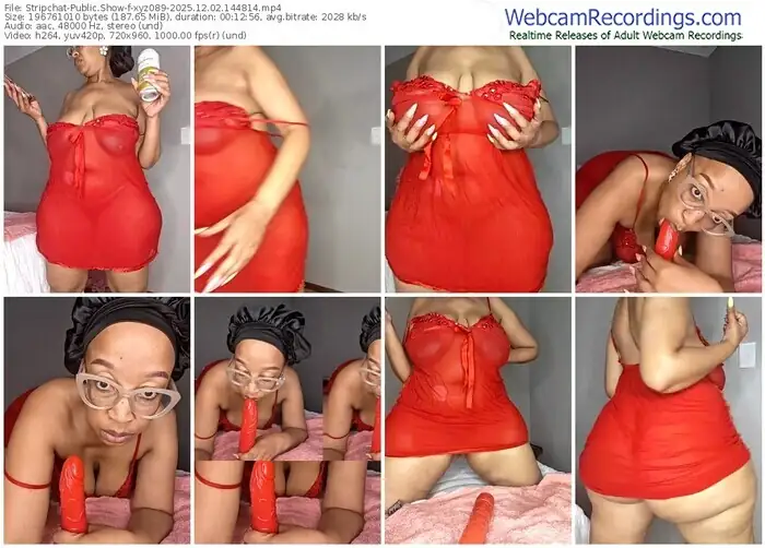 2025/12/02/stripchat-xyz089-14-48-14