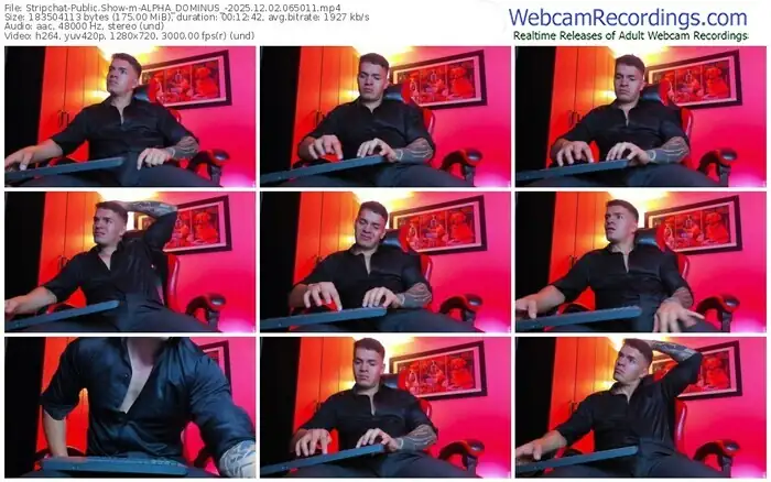 2025/12/02/stripchat-alpha_dominus_-06-50-11