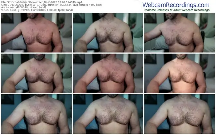 2025/12/02/stripchat-mr_beef-14-43-49