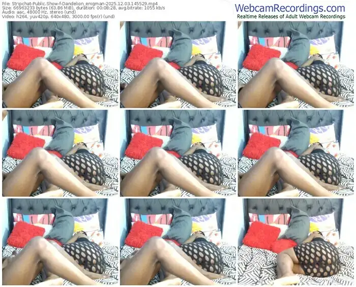 2025/12/03/stripchat-dandelion_enigman-14-55-29