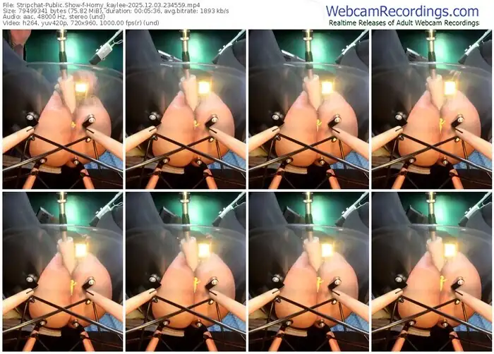 2025/12/03/stripchat-horny_kaylee-23-45-59