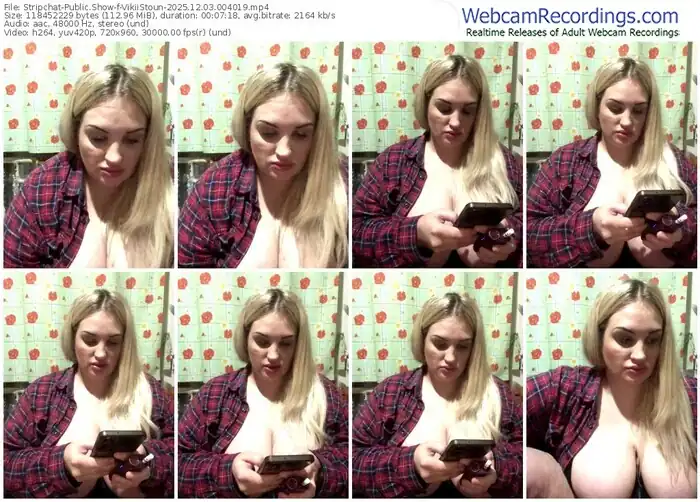 2025/12/03/stripchat-vikiistoun-00-40-19