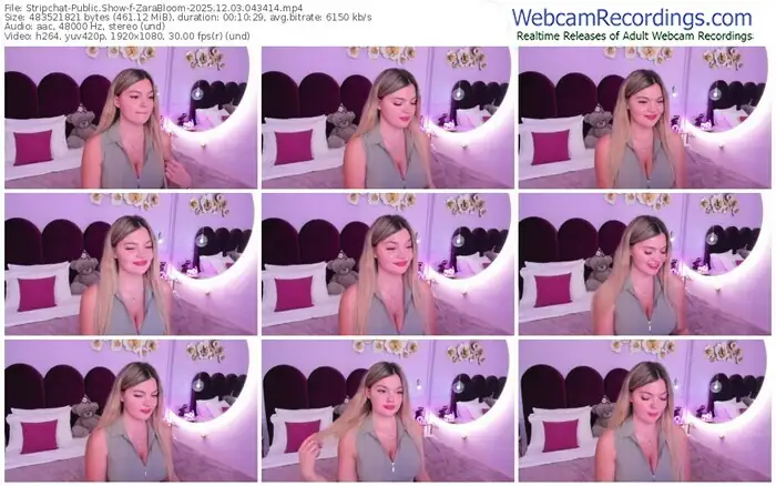 2025/12/03/stripchat-zarabloom-04-34-14