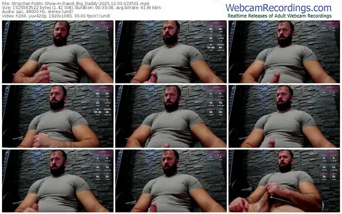 2025/12/03/stripchat-david_big_daddy-02-35-01