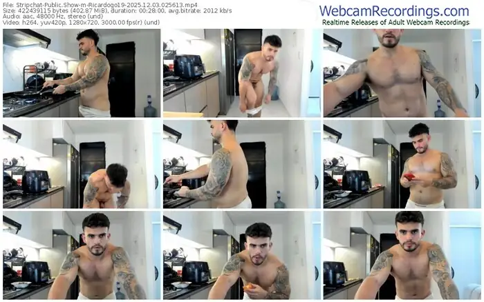 2025/12/03/stripchat-ricardogo19-02-56-13