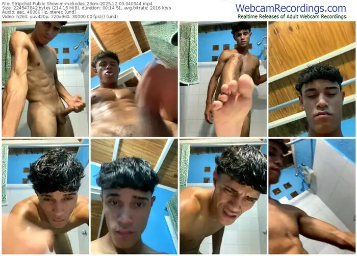 2025/12/03/stripchat-meliodas_23cm-04-09-44