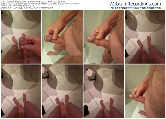 2025/12/03/stripchat-minnetird-10-01-26