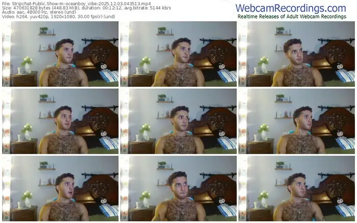 2025/12/03/stripchat-oceanboy_vibe-04-35-13