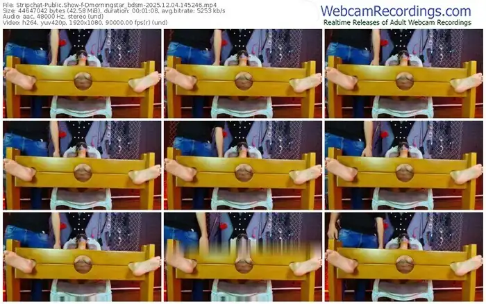 2025/12/04/stripchat-dmorningstar_bdsm-14-52-46