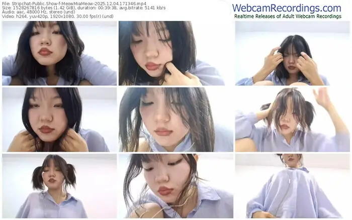 2025/12/04/stripchat-meowmiameow-17-13-46