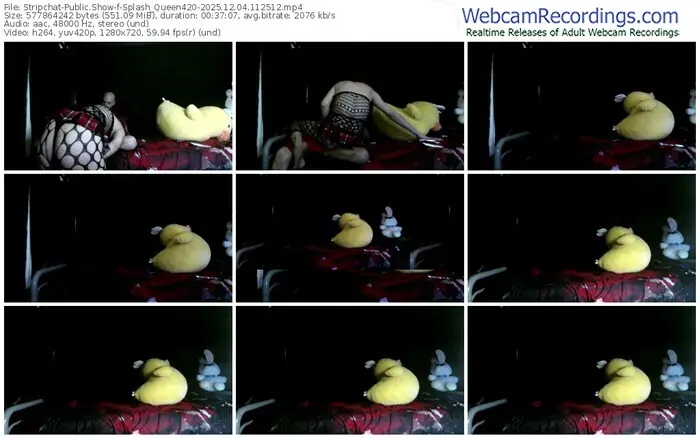 2025/12/04/stripchat-splash_queen420-11-25-12