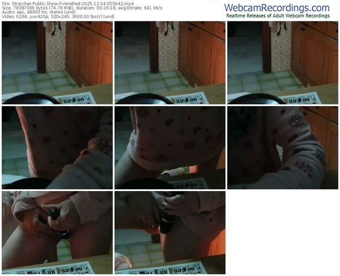 2025/12/04/stripchat-venered-05-56-42