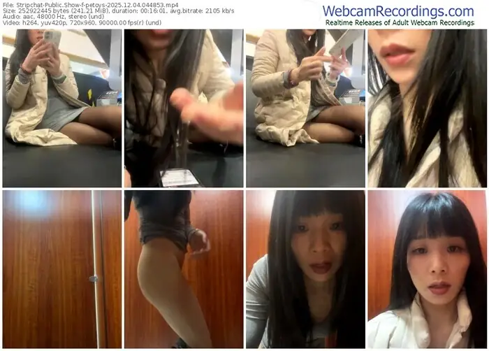 2025/12/04/stripchat-petoys-04-48-53