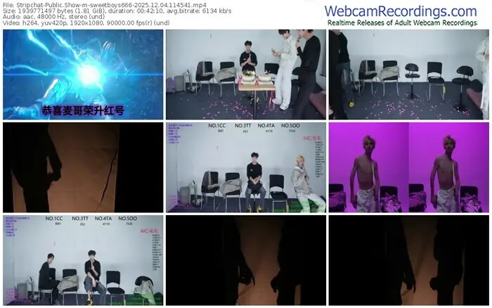 2025/12/04/stripchat-sweetboys666-11-45-41