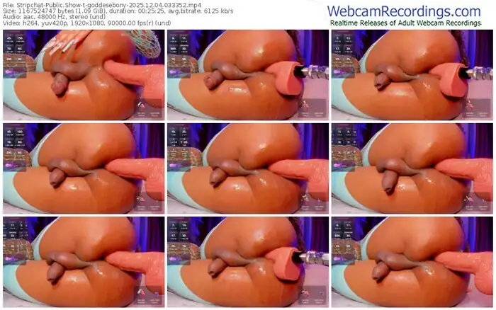 2025/12/04/stripchat-goddesebony-03-33-52