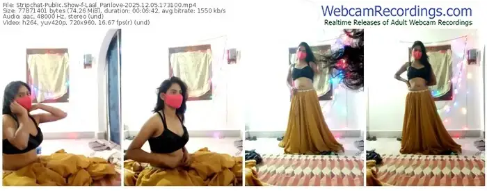 2025/12/05/stripchat-laal_parilove-17-31-00