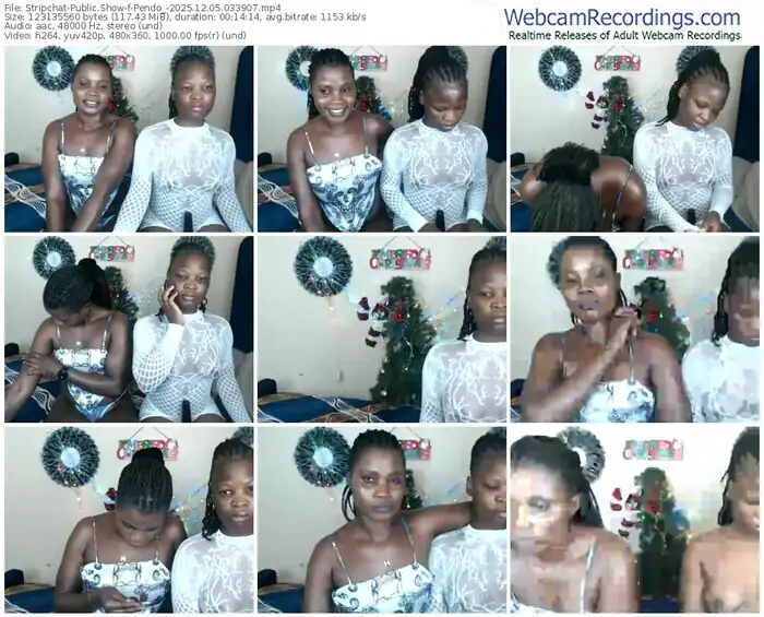 2025/12/05/stripchat-pendo_-03-39-07