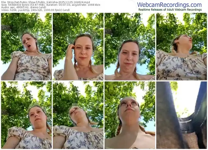 2025/12/05/stripchat-public_katrisha-16-46-24