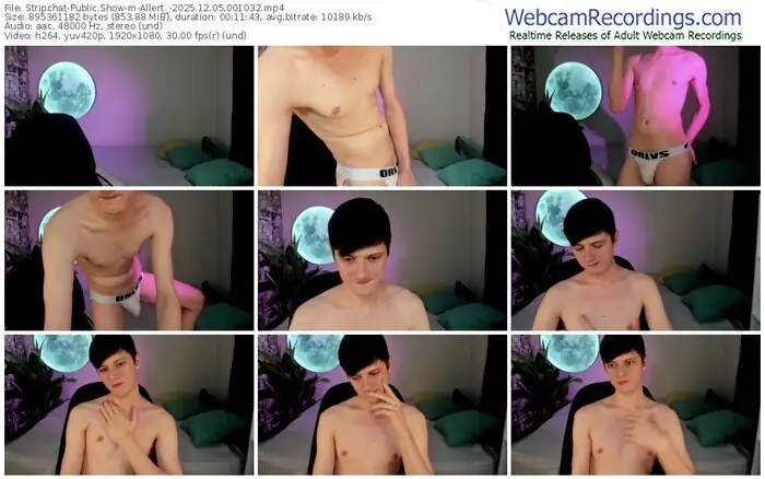 2025/12/05/stripchat-allert_-00-10-32