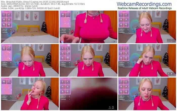 2025/12/09/stripchat-ceanelino-19-02-39