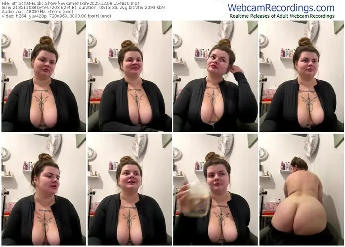 2025/12/09/stripchat-evkamenskih-15-48-10