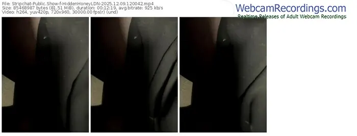 2025/12/09/stripchat-hiddenhoneyldn-12-00-42