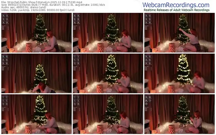 2025/12/09/stripchat-morvelyn-17-53-30