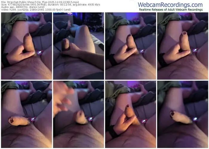 2025/12/09/stripchat-ole_plus-22-39-15