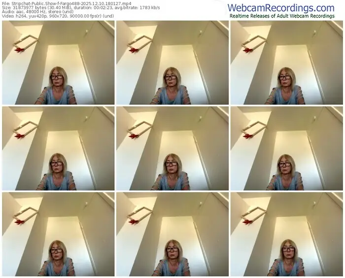 2025/12/10/stripchat-fargo488-18-01-27