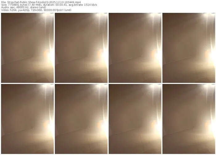 2025/12/10/stripchat-kiodo22-16-34-49