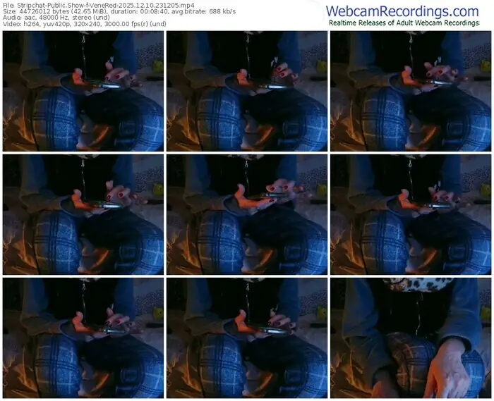 2025/12/10/stripchat-venered-23-12-05