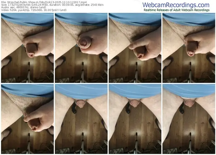 2025/12/10/stripchat-tobydick13-12-20-17