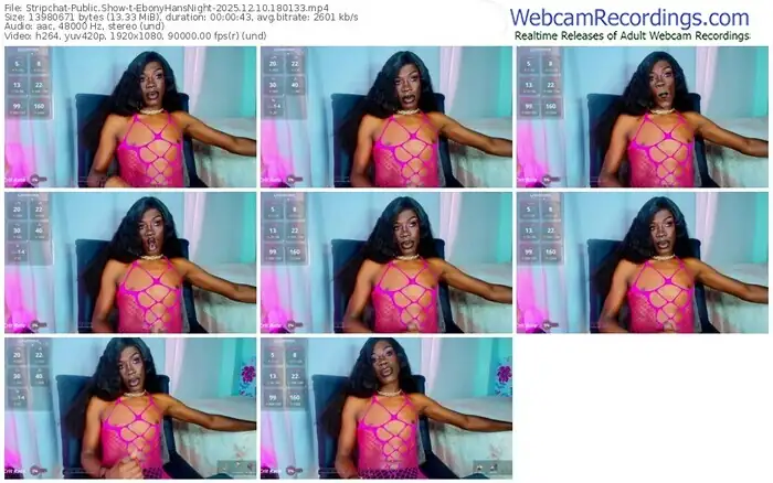 2025/12/10/stripchat-ebonyhansnight-18-01-33