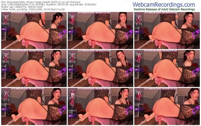 2025/12/10/stripchat-sage_heartt-14-17-04