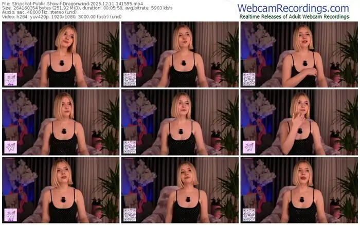 2025/12/11/stripchat-dragonwind-14-15-55