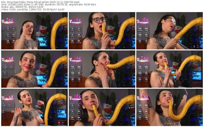 2025/12/11/stripchat-evacanton-09-07-00