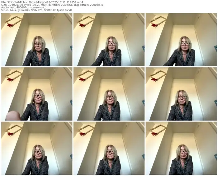 2025/12/11/stripchat-fargo488-21-23-58