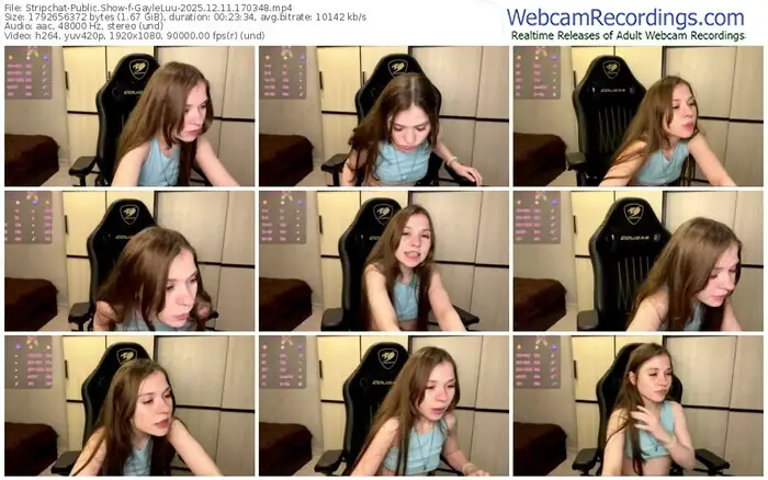 2025/12/11/stripchat-gayleluu-17-03-48