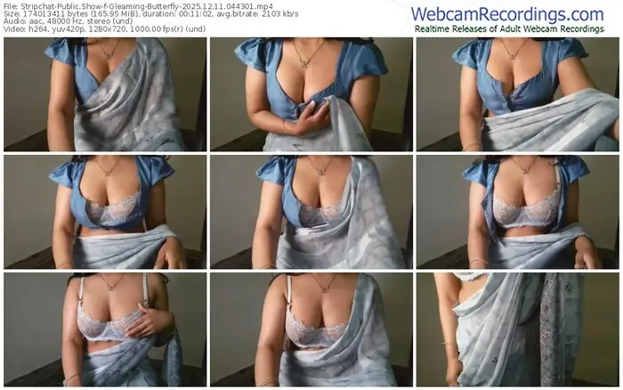 2025/12/11/stripchat-gleaming-butterfly-04-43-01
