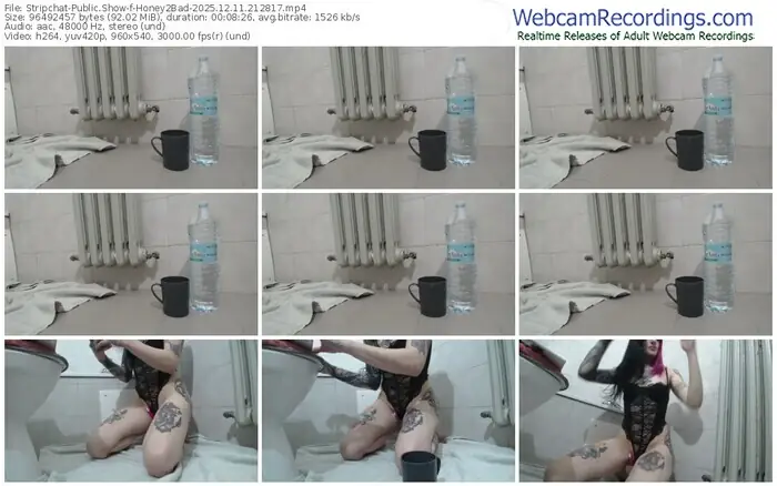 2025/12/11/stripchat-honey2bad-21-28-17