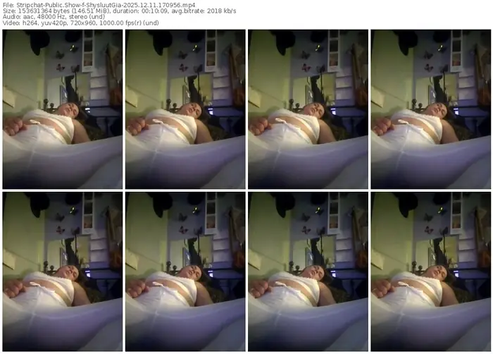 2025/12/11/stripchat-shysluutgia-17-09-56