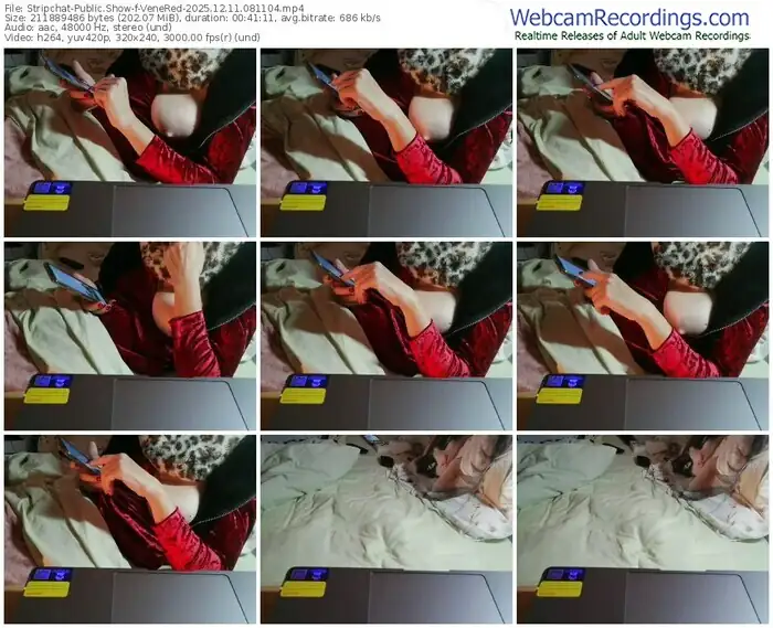 2025/12/11/stripchat-venered-08-11-04