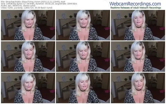 2025/12/11/stripchat-vina_vision-12-04-51