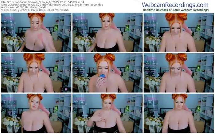 2025/12/11/stripchat-_dian_a_pr-04-53-24