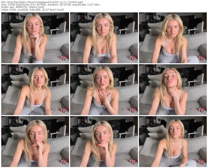 2025/12/11/stripchat-meggsworld-17-16-05